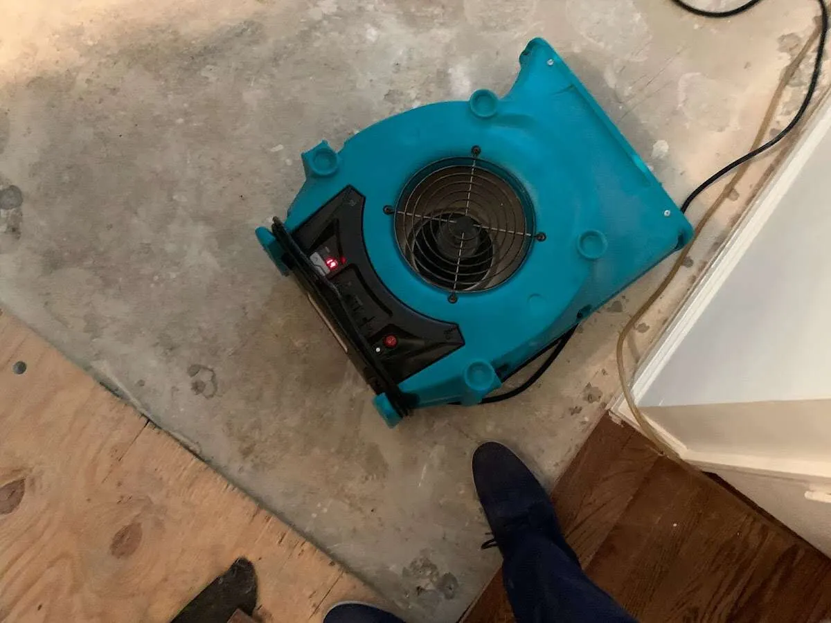 Air mover drying subfloor during Commercial Water Damage Restoration in Brookline
